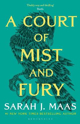 A Court of Mist and Fury: The #1 bestselling series by Sarah J. Maas ISBN:9781526617163
