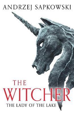 The Lady of the Lake: Witcher 5 - Now a major Netflix show by Andrzej Sapkowski ISBN:9781399611459