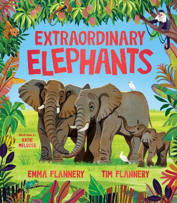 Extraordinary Elephants by Prof. Tim Flannery ISBN:9781761211713