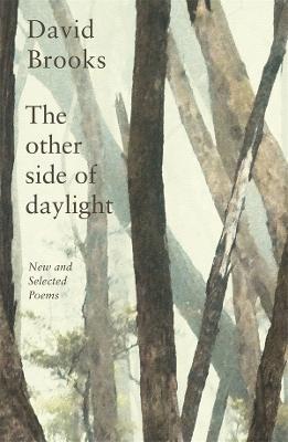 Other Side of Daylight by David Brooks