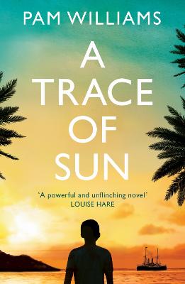 A Trace of Sun: a powerful and extraordinary novel exploring the long-term emotional impact of family separation by Pam Williams ISBN:9781915643353