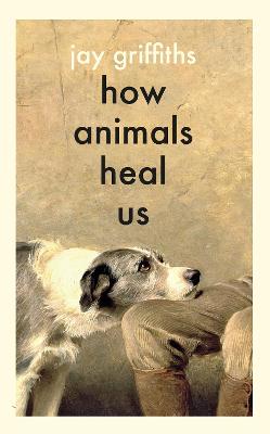 How Animals Heal Us by Jay Griffiths ISBN:9780241614358