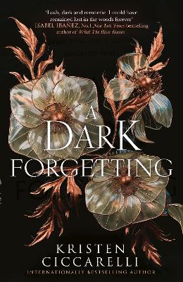 A Dark Forgetting by Kristen Ciccarelli ISBN:9780008794750
