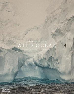 Wild Ocean: A journey into the world's last wild coasts by Beverly Pickford ISBN:9781760765286