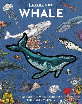 Inside Out Whale: Discover the World's Biggest