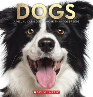 Dogs: A Visual Catalog Of More Than 100 Breeds by Miranda Willis ISBN:9781761727139