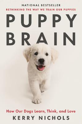 Puppy Brain: How Our Dogs Learn