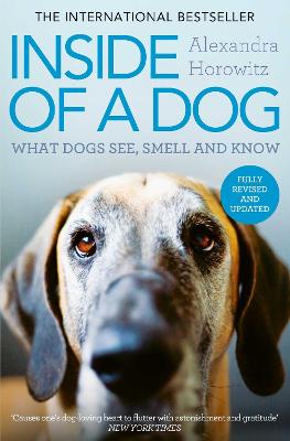 Inside of a Dog: What Dogs See