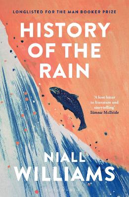 History of the Rain by Niall Williams