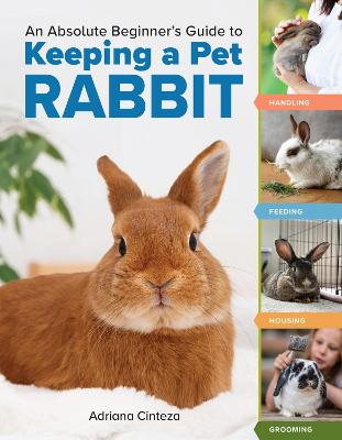 An Absolute Beginner’s Guide to Keeping a Pet Rabbit by Adriana Cinteza