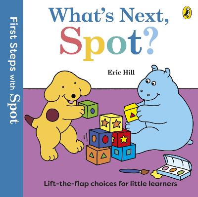 First Steps with Spot: What's Next