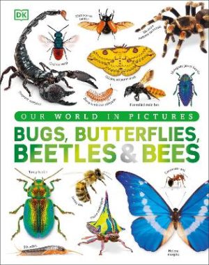Our World in Pictures Bugs