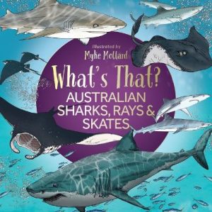 What's That? Australian Sharks