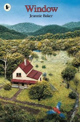 Window: A stunning wordless picture book that highlights our changing environment