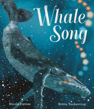 Whale Song by Nicola Davies ISBN:9781529513189