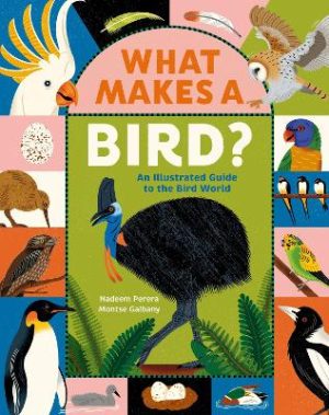 What Makes a Bird?: An Illustrated Guide to the Bird World by Nadeem Perera ISBN:9781761182891