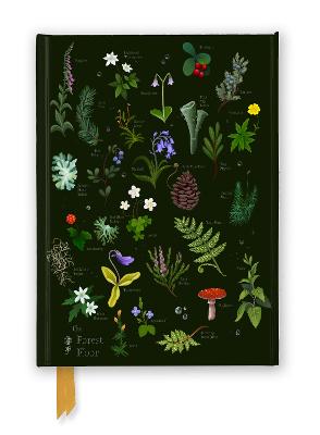 Anna Stead: The Forest Floor (Foiled Journal) by Flame Tree Studio ISBN:9781835626801