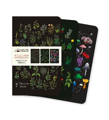Anna Stead: Herbals Set of 3 Mini Notebooks by Flame Tree Studio