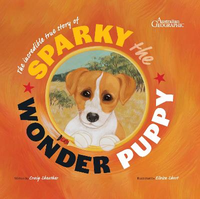 Sparky the Wonder Puppy by Craig Sheather ISBN:9781922388100