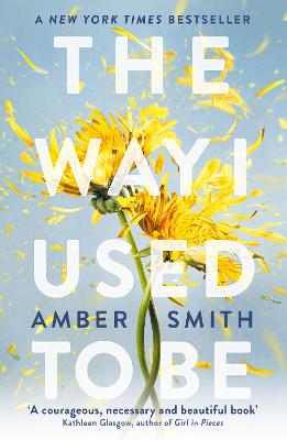 The Way I Used to Be: The TikTok sensation by Amber Smith ISBN:9780861546732