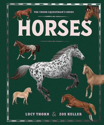 Horses by Lucy Thorn ISBN:9781444981247