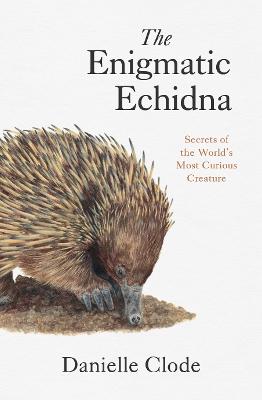The Enigmatic Echidna: Secrets of the World's Most Curious Creature by Danielle Clode ISBN:9781760645328
