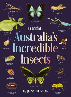 Australia's Incredible Insects by Australian Geographic ISBN:9781761218088