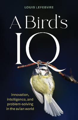 A Bird's IQ: innovation