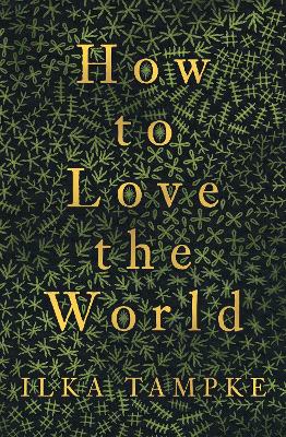 How to Love the World by Ilka Tampke ISBN:9781761635328