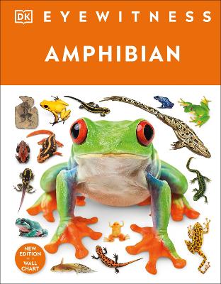 Eyewitness Amphibian by DK