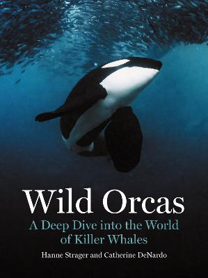 Wild Orcas: A Deep Dive into the World of Killer Whales by Hanne Strager ISBN:9780691269849