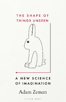Shape of Things Unseen by Adam Zeman