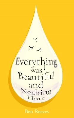 Everything was Beautiful and Nothing Hurt by Ben Reeves ISBN:9781805465805