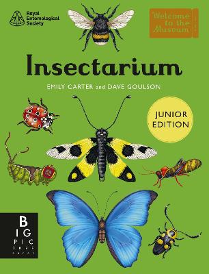 Insectarium (Junior Edition) by Dave Goulson