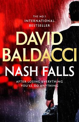 Nash Falls by David Baldacci