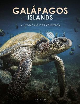 Galapagos Islands: A Showcase of Evolution by Tom Jackson ISBN:9781838866174